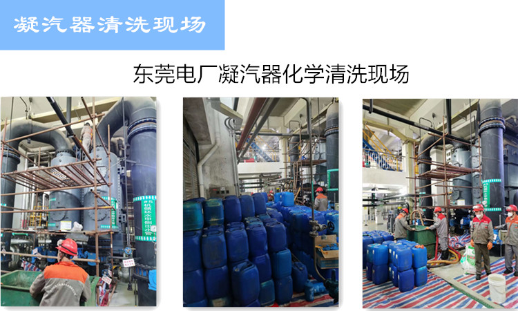凝汽器小蝌蚪视频下载现场